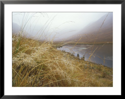 Mist In Scottish Glen, Scotland by David Boag Pricing Limited Edition Print image