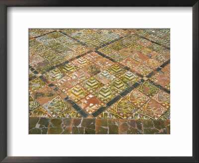 Medieval Tiles, Cleeve Abbey, Property Of English Heritage, Somerset, England by David Hunter Pricing Limited Edition Print image