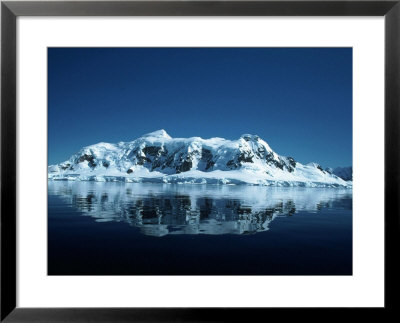 Glacier And Reflection, Paradise Bay, Antarctica by Yvette Cardozo Pricing Limited Edition Print image