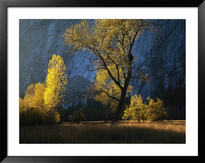 The Evening Sun Shines On Leidig Meadow by Marc Moritsch Pricing Limited Edition Print image