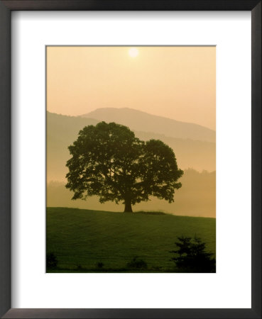 Foggy Sunrise In Cades Cove, Tn by Willard Clay Pricing Limited Edition Print image