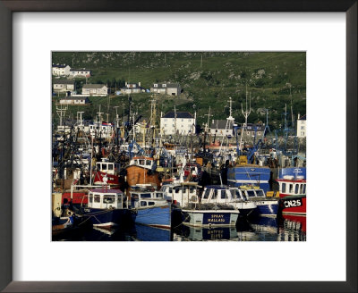 Fishing Fleet In Harbour, Mallaig, West Coast, Highlands, Scotland, United Kingdom by Tony Waltham Pricing Limited Edition Print image