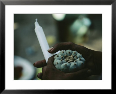 A Man Holds A Candle And A Peyote Catus, Or Hikuli, In His Hands by Maria Stenzel Pricing Limited Edition Print image