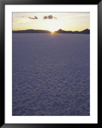 A Morning View Of Salt Flats by Paul Nicklen Pricing Limited Edition Print image