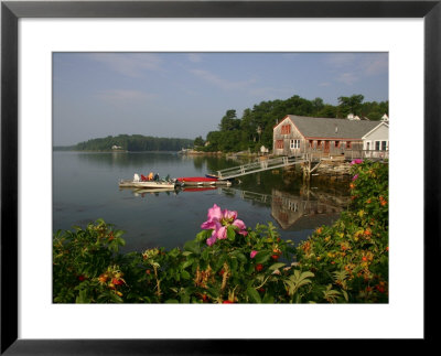 A Rose Of Sharon Bush Frames A Coastal View Along The Casco Bay by Stephen St. John Pricing Limited Edition Print image