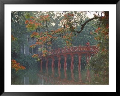 Tamarind Blossoms Blooming On The Banks Of A Lake by Steve Raymer Pricing Limited Edition Print image