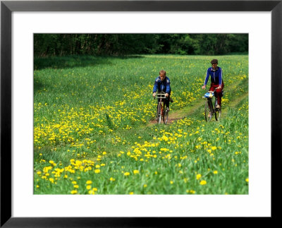 Bicyclists Ride Through Field Of Dandelions, Gauja River, Gauja National Park, Latvia by Janis Miglavs Pricing Limited Edition Print image