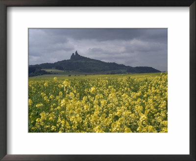 View Across Field Of Flowering Mustard To The Ruins Of Trosky Castle, Czechoslovakia by James P. Blair Pricing Limited Edition Print image