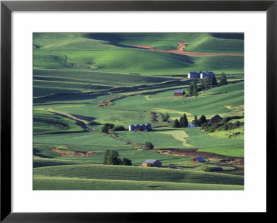 Farms And Rolling Hills Of The Palouse, Steptoe Butte State Park, Washington, Usa by Darrell Gulin Pricing Limited Edition Print image