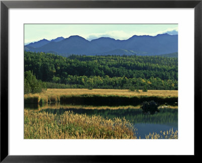 Potter Marsh, Alaska by William Gray Pricing Limited Edition Print image