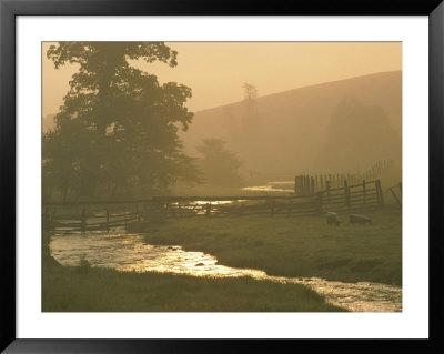 Pastoral View Of Sheep Grazing Near A Creek by James L. Stanfield Pricing Limited Edition Print image
