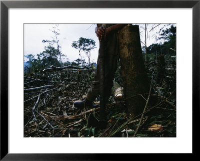A Man With An Axe Rests Against A Stump In A Destroyed Landscape by Maria Stenzel Pricing Limited Edition Print image