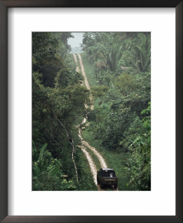 Driving In The Rain Forest, Lubaantun, Toledo District, Belize, Central America by Upperhall Pricing Limited Edition Print image