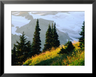 The Skyline Trail In Mt. Rainier National Park, Washington, Usa by Richard Cummins Pricing Limited Edition Print image