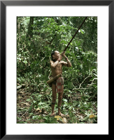Member Of The Penan Tribe With Blowpipe, Mulu Expedition, Sarawak, Island Of Borneo, Malaysia by Robin Hanbury-Tenison Pricing Limited Edition Print image