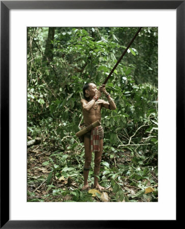 Member Of The Penan Tribe With Blowpipe, Mulu Expedition, Sarawak, Island Of Borneo, Malaysia by Robin Hanbury-Tenison Pricing Limited Edition Print image