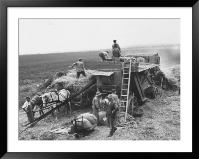 Workers Harvesting Barley Crop On Collective Farm by Carl Mydans Pricing Limited Edition Print image