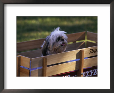 Dog In Wagon by Frank Simonetti Pricing Limited Edition Print image
