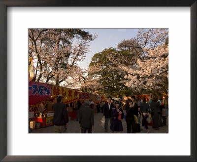 Cherry Blossom Viewing Hanami, Kanazawa City, Honshu Island, Japan by Christian Kober Pricing Limited Edition Print image