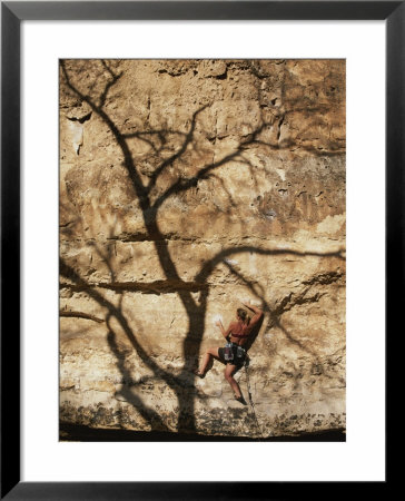 A Trees Shadow Cast Across A Climber And A Jacks Canyon Cliffside by John Burcham Pricing Limited Edition Print image