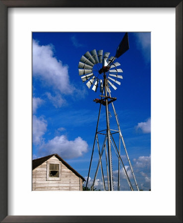 Wind-Driven Water Pump, Fl by Jeff Greenberg Pricing Limited Edition Print image