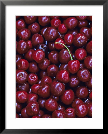 Flathead Sweet Cherries, Montana, Usa by Chuck Haney Pricing Limited Edition Print image