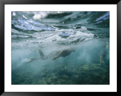 Spearfishing In The Bay by Randy Olson Pricing Limited Edition Print image