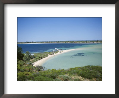 Protected Bird Sanctuary, Penguin Island, Western Australia, Australia by Ken Gillham Pricing Limited Edition Print image