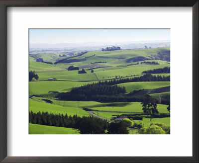 Farmland At Milburn, South Otago, South Island, New Zealand by David Wall Pricing Limited Edition Print image