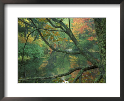 Fall Along The Lamprey River In Durham, New Hampshire, Usa by Jerry & Marcy Monkman Pricing Limited Edition Print image
