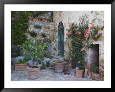 Potted Plants Decorate A Patio In Tuscany, Petroio, Italy by Dennis Flaherty Pricing Limited Edition Print image