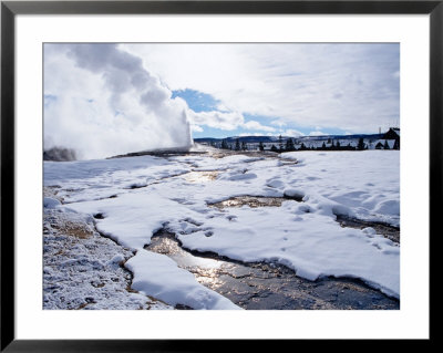Old Faithful Erupts In Winter, Yellowstone National Park, Wyoming, Usa by Chuck Haney Pricing Limited Edition Print image