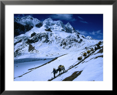 Team Of Pack Horses Descending Into Valley West Of Campo Pass, Cuzco, Peru by Grant Dixon Pricing Limited Edition Print image