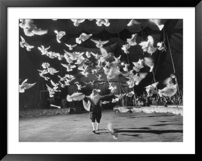 Famous Animal Trainer Vladimir Durov Of The Moscow Circus Performing With His Birds by Loomis Dean Pricing Limited Edition Print image