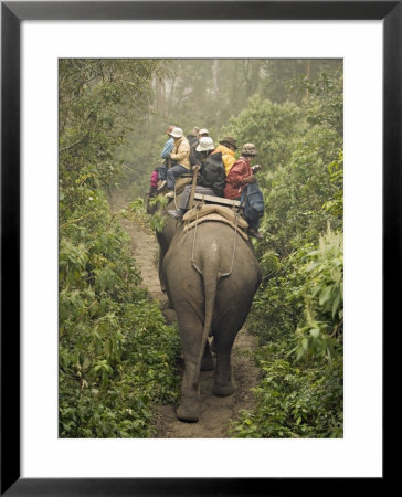 Japanese Tourists On Dawn Elephant Safari, Royal Chitwan National Park, Nepal by Don Smith Pricing Limited Edition Print image
