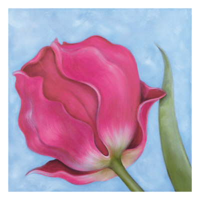 Raspberry Tulip I by Sophia Davidson Pricing Limited Edition Print image