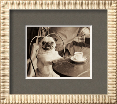 Cafe Pug by Jim Dratfield Pricing Limited Edition Print image