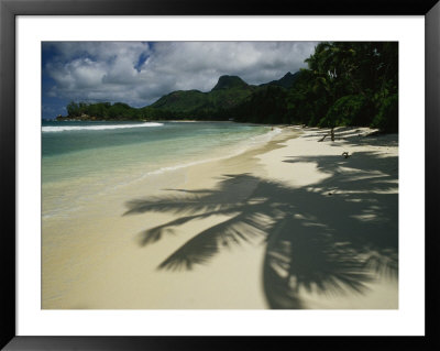 Palm Tree Shadows On A Beach With Gentle Surf And Mountain Backdrop by Bill Curtsinger Pricing Limited Edition Print image