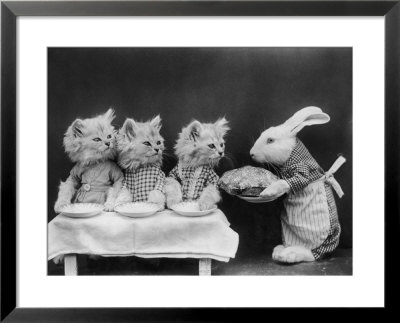 Living Kittens Dressed Up Are Served A Meal By Their Chef Rabbit by Harry Whittier Pricing Limited Edition Print image
