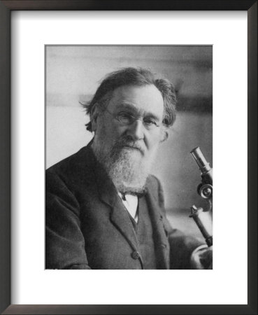 Elie Metchnikoff (Ilya Ilich Mechnikov) Russian Zoologist And Bacteriologist by Manuel Pricing Limited Edition Print image