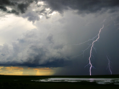 Lightning Cracks In A Cloud-Filled Sky With Rain Falling In Distance by Randy Olson Pricing Limited Edition Print image