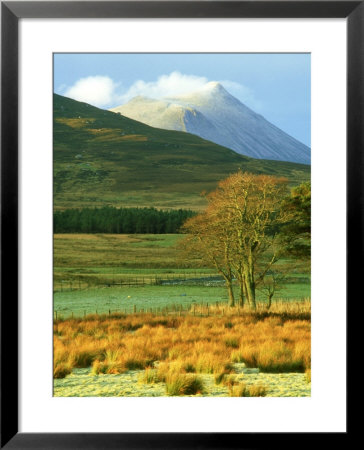 Morven From Braemore, Scotland by Iain Sarjeant Pricing Limited Edition Print image