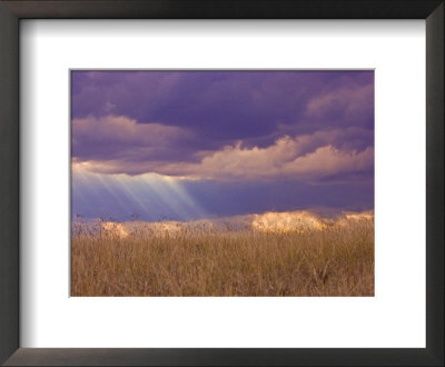 Sun Rays In The Afternoon Storm Clouds, Maasai Mara, Kenya by Joe Restuccia Iii Pricing Limited Edition Print image
