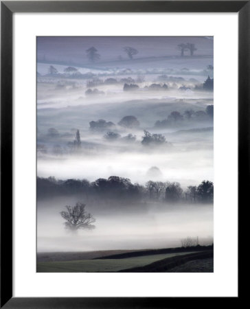 Misty Morning View From Haldon Woods, Devon, Uk by David Clapp Pricing Limited Edition Print image