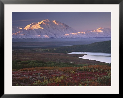Denali National Park Near Wonder Lake, Alaska, Usa by Charles Sleicher Pricing Limited Edition Print image