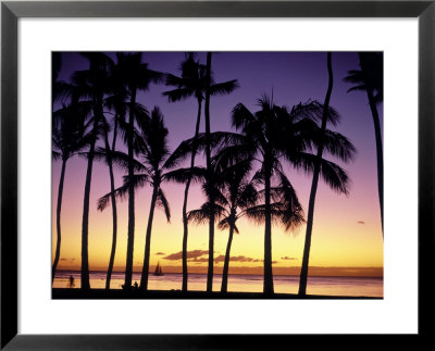 Silhouette Of Palm Trees At Sunset by Volvox Pricing Limited Edition Print image