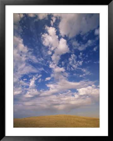 Cumulus Clouds In Blue Sky Over Prairie by John Eastcott & Yva Momatiuk Pricing Limited Edition Print image