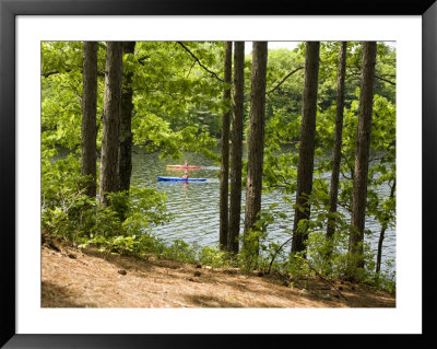 Two Kayaks On The Water In Hopkington State Park, Massachusetts by Tim Laman Pricing Limited Edition Print image