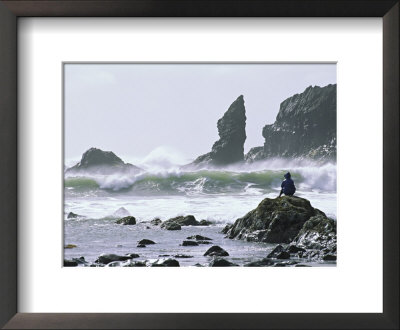 Beach At Lappish, Olympic National Park, Washington, Usa by Charles Sleicher Pricing Limited Edition Print image