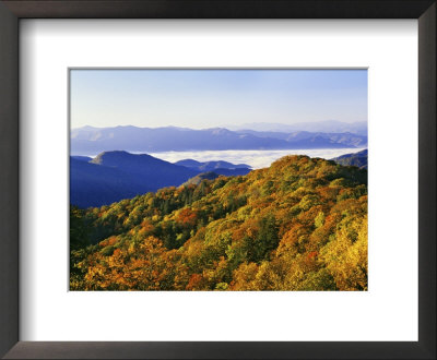 Forest In Autumn Color From Shot Beech Ridge, Great Smoky Mountains National Park, North Carolina by Dennis Flaherty Pricing Limited Edition Print image